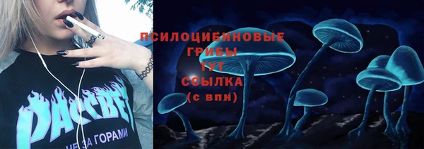 apvp Баксан