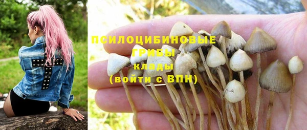 apvp Баксан